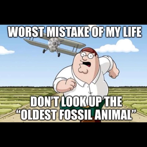 Meet your Posher, Bob - Picture 1 of 1